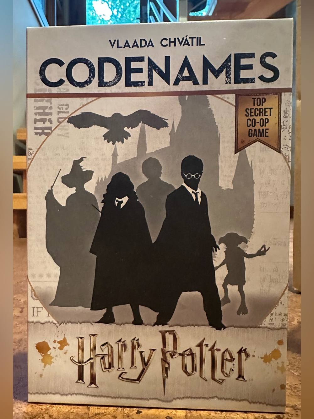 Codenames: Harry Potter Edition Family Strategy Game